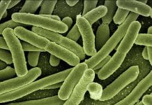 Interpretare vis în care apare infecție Interpretare vis in care apare infectie
