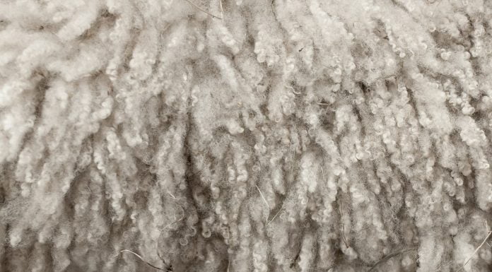 Interpretare vis in care apare lana