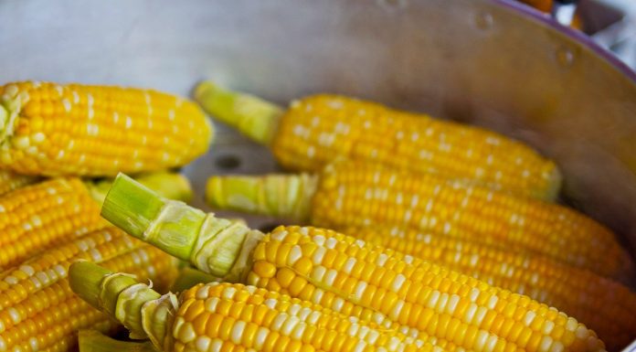 Interpretare vis in care apare malai