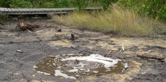 Interpretare vis in care apare namol