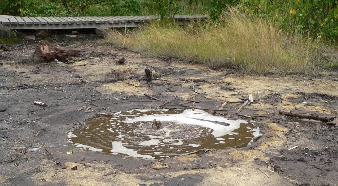 Interpretare vis în care apare nămol Interpretare vis in care apare namol