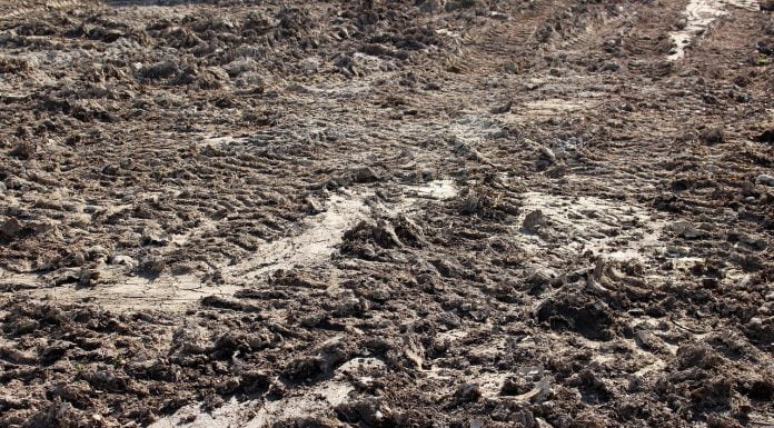 Interpretare vis în care apare noroi Interpretare vis in care apare noroi