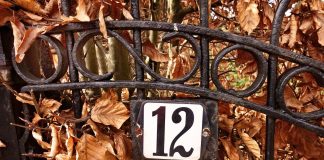 Interpretare vis în care apare numărul doisprezece, 12 Interpretare vis in care apare numarul doisprezece, 12