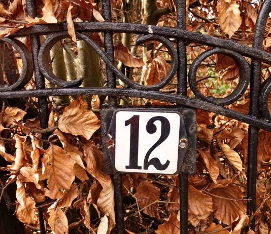 Interpretare vis in care apare numarul doisprezece, 12