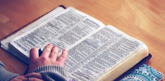 Interpretare vis in care apare o Biblie