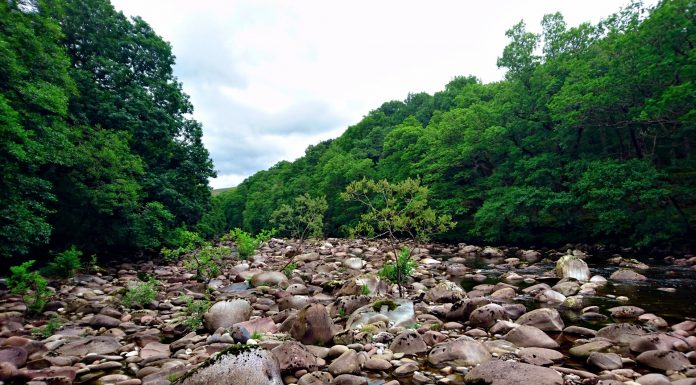 Interpretare vis in care apare o albie