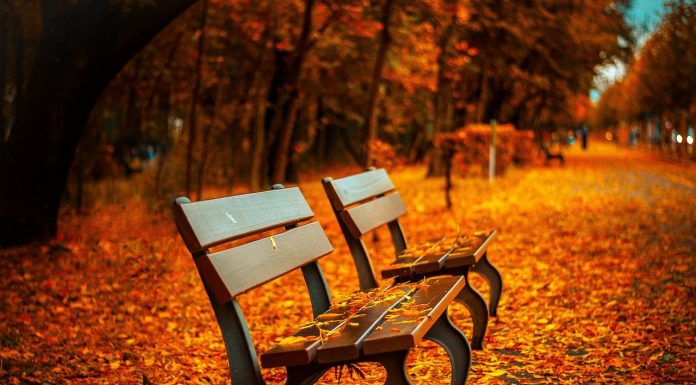 Interpretare vis in care apare o banca