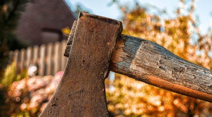 Interpretare vis in care apare o barda