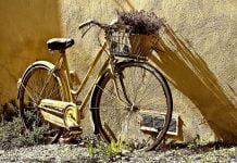 Interpretare vis in care apare o bicicleta