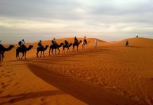 Interpretare vis in care apare o caravana