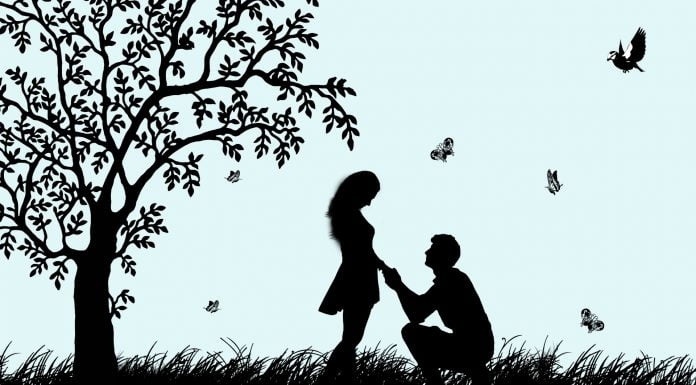 Interpretare vis in care apare o cerere in casatorie