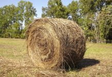 Interpretare vis in care apare o claie