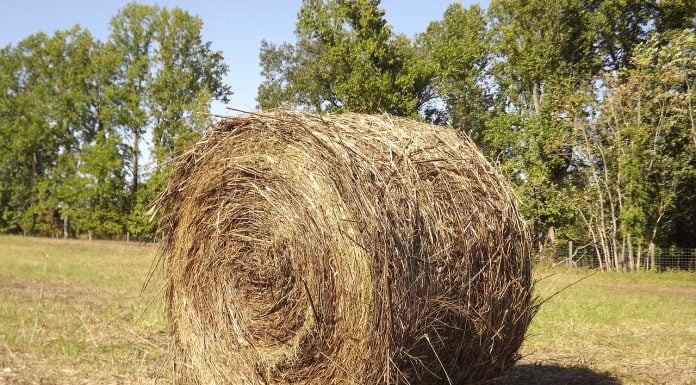 Interpretare vis în care apare o claie Interpretare vis in care apare o claie