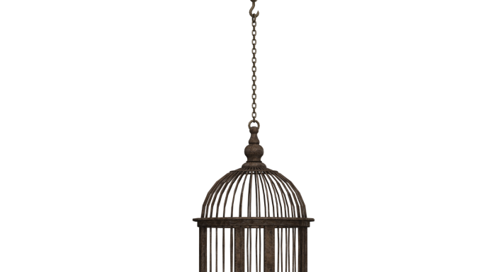 Interpretare vis în care apare o colivie Interpretare vis in care apare o colivie