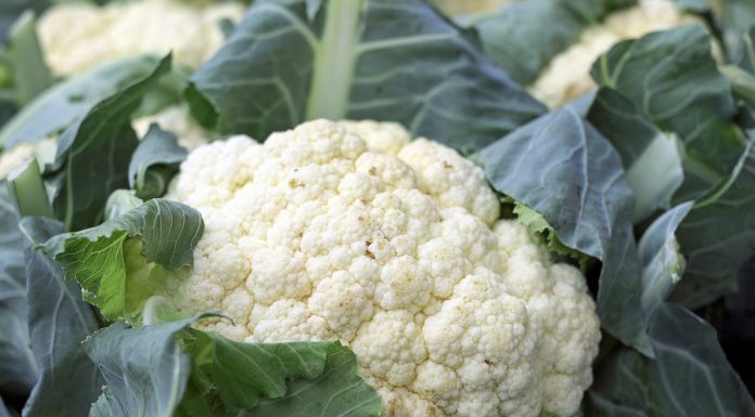 Interpretare vis în care apare o conopidă Interpretare vis in care apare o conopida