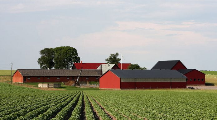 Interpretare vis in care apare o ferma