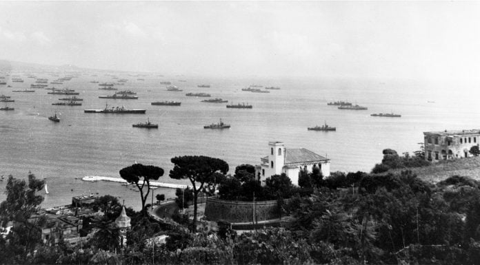 Interpretare vis in care apare o flota