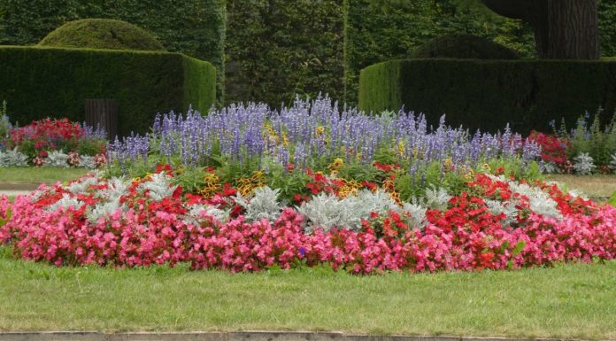 Interpretare vis în care apare o grădină / grădiniță Interpretare vis in care apare o gradina gradinita