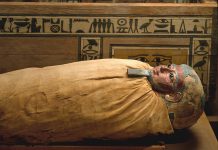 Interpretare vis in care apare o mumie