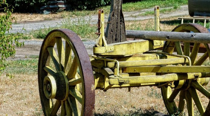 Interpretare vis in care apare o osie