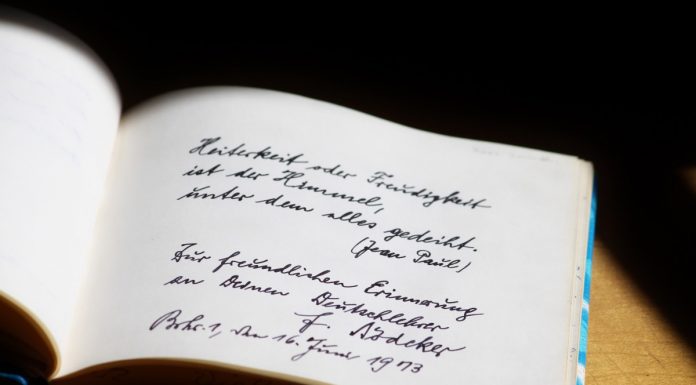 Interpretare vis in care apare o poezie