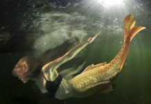 Interpretare vis in care apare o sirena