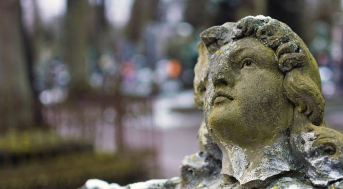 Interpretare vis in care apare o statuie