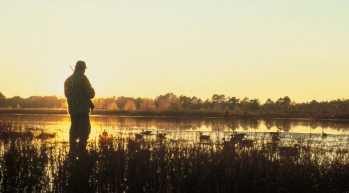 Interpretare vis in care apare o vanatoare