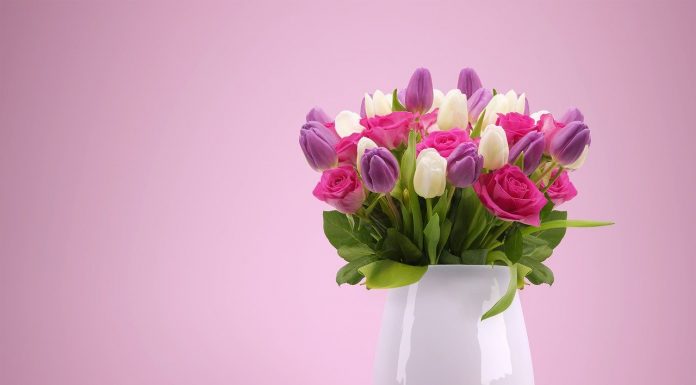 Interpretare vis in care apare