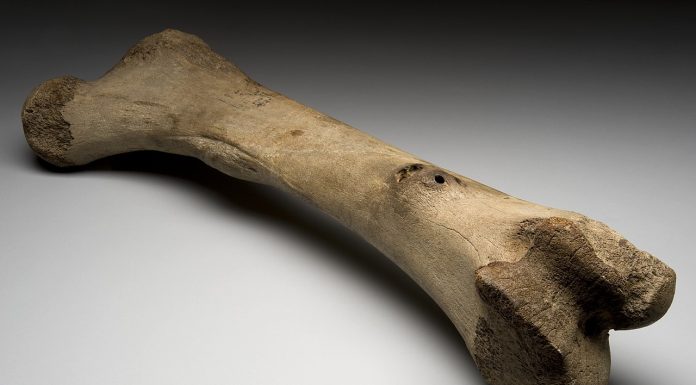 Interpretare vis in care apare os