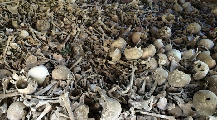 Interpretare vis in care apare oseminte