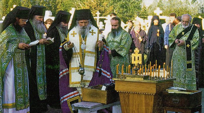 Interpretare vis în care apare parastas Interpretare vis in care apare parastas