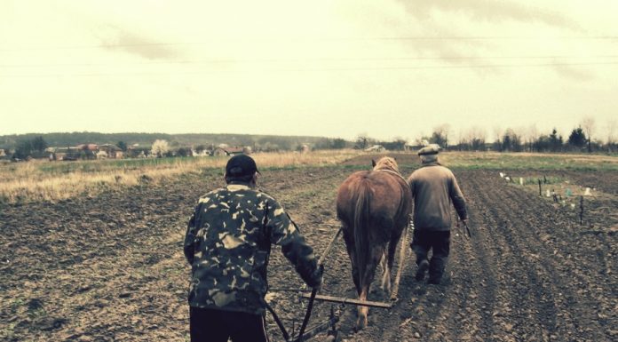 Interpretare vis in care apare plug