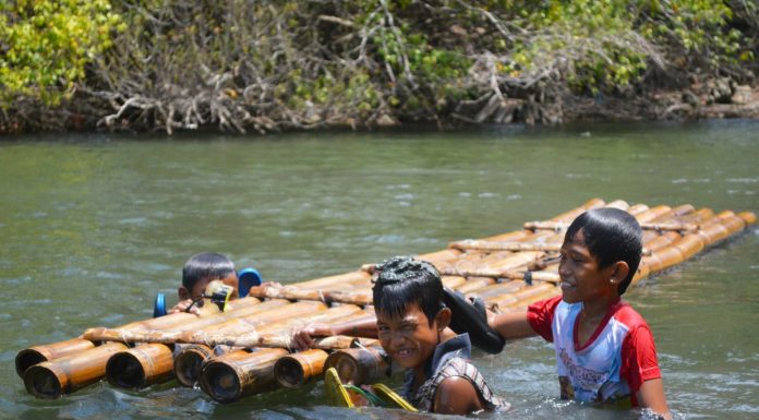 Interpretare vis in care apare pluta a pluti plutire plutind