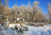 Interpretare vis in care apare podoaba