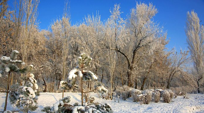 Interpretare vis in care apare podoaba