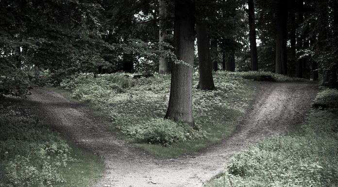 Interpretare vis în care apare răscruce Interpretare vis in care apare rascruce