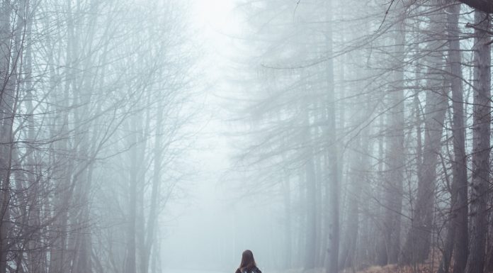 Interpretare vis în care apare rătăcit Interpretare vis in care apare ratacit