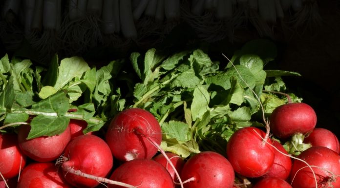 Interpretare vis în care apare ridiche Interpretare vis in care apare ridiche