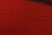 Interpretare vis în care apare roșie/ a roși/ a se înroși/ roșu/ roz Interpretare vis in care apare rosie