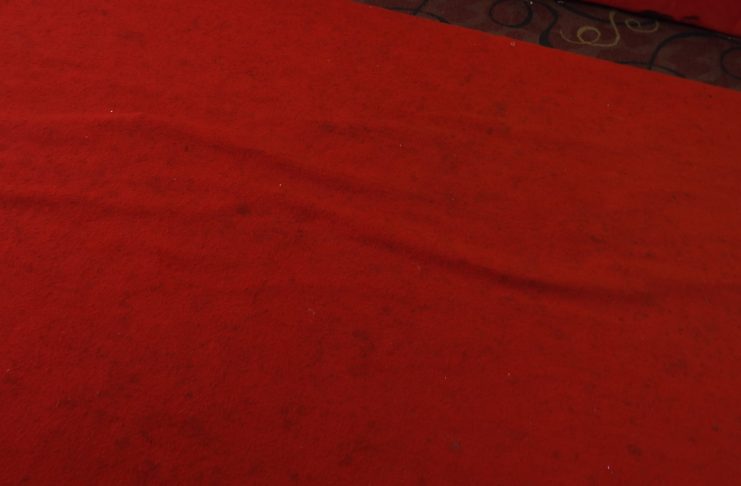 Interpretare vis in care apare rosie