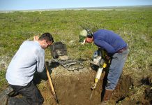 Interpretare vis in care apare sapat