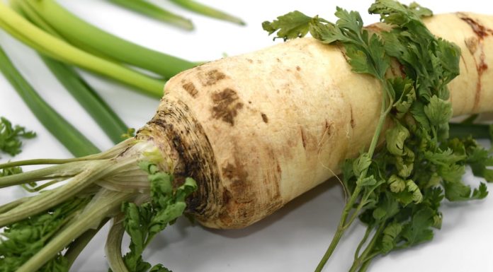 Interpretare vis in care apare țelină Interpretare vis in care apare telina