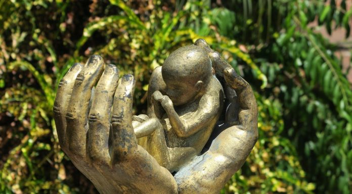 Interpretare vis in care apare un avort.