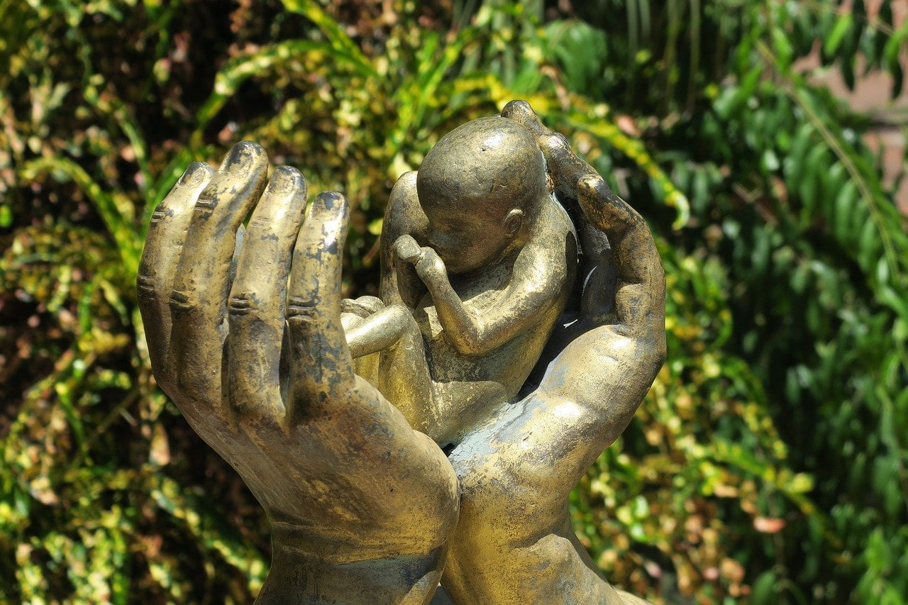 Interpretare vis in care apare un avort. Interpretare vis in care apare un avort.