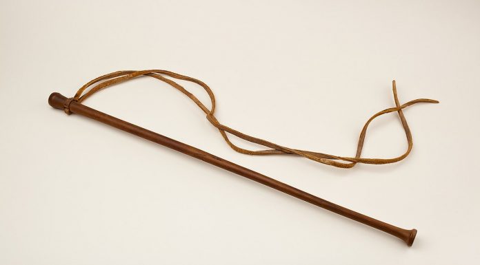 Interpretare vis in care apare un bici