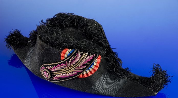 Interpretare vis in care apare un bicorn