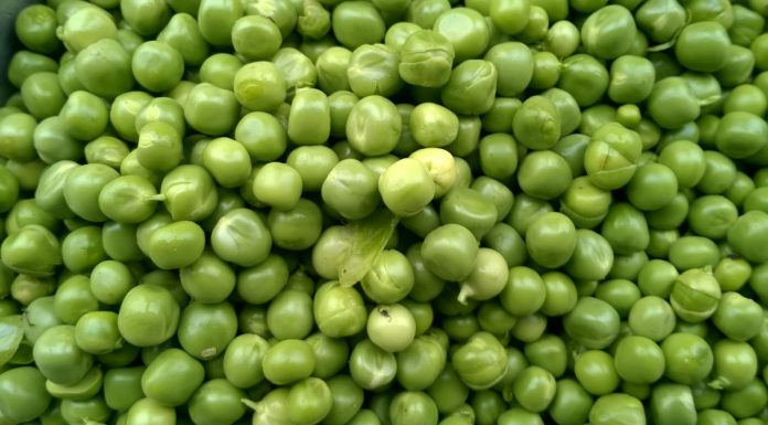 Interpretare vis în care apare un bob Interpretare vis in care apare un bob