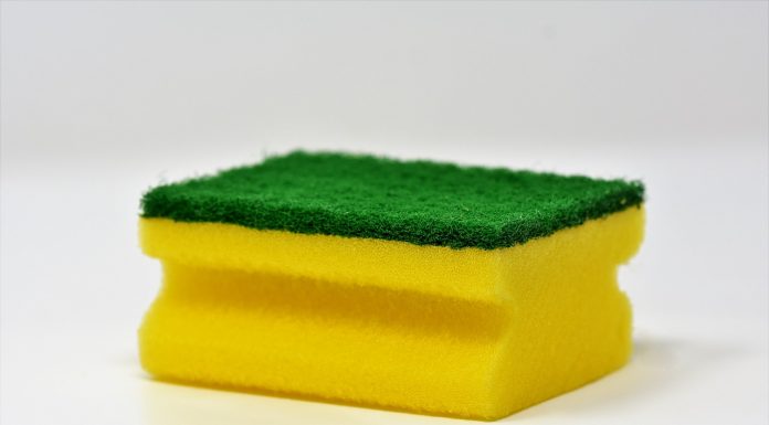 Interpretare vis in care apare un burete