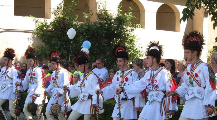 Interpretare vis in care apare un calus